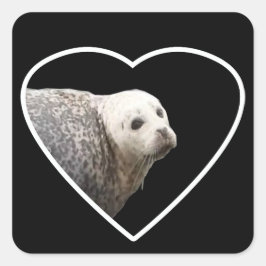 Adesivo Quadrado Arte da Natureza Vida Selvagem do Oceano Foca Fofa