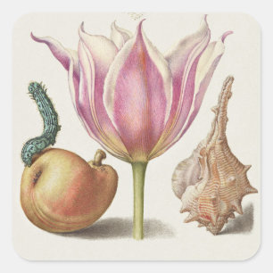 Adesivo Quadrado Arte de Caligrafia da Renascença Tulipa Rosa e Pêr