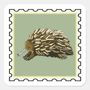 Adesivo Quadrado Arte de selo australiano de Equidna fofa