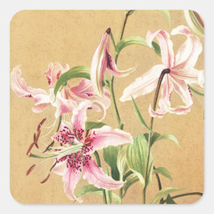 Adesivo Quadrado Arte Floral Botânica de Lírio Oriental Rosa Vintag