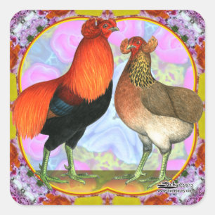 Adesivo Quadrado Arte Nouveau das galinhas de Araucana
