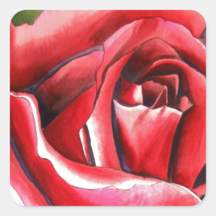 Adesivo Quadrado Arte original de aquarela da Rosa vermelha Crimson