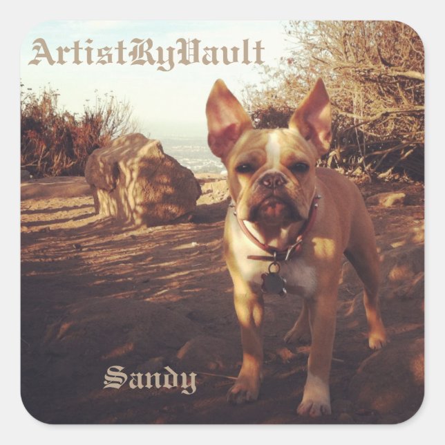 Adesivo Quadrado ArtistRyVavlt Sandy Sticker (Frente)