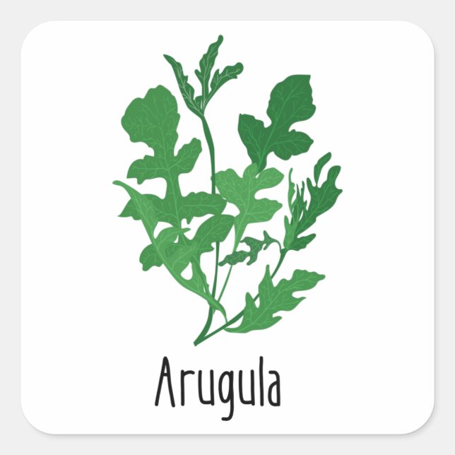 Adesivo Quadrado Arugula Spices Herbs (Frente)