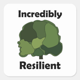 Adesivo Quadrado Árvore Plátano Incrivelmente Resiliente Inspirador