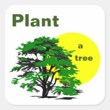 Árvore Verde e Sol Amarelo, Plante uma árvore