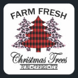 Adesivo Quadrado Árvores de Natal frescas de fazenda<br><div class="desc">Pinho De Árvore De Natal Fresco,  Spruce,  Fir,  fazenda,  Para O Dia De Natal</div>