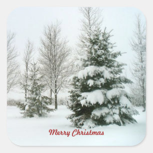 Adesivo Quadrado Árvores de Snow-Laden, Feliz Natal