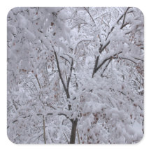 Árvores em Carga de Neve