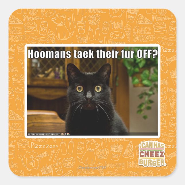 Adesivo Quadrado As mulheres pegam pelo lá fora? (Frente)