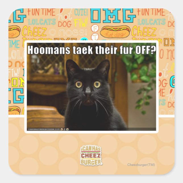 Adesivo Quadrado As mulheres pegam pelo lá fora? (Frente)