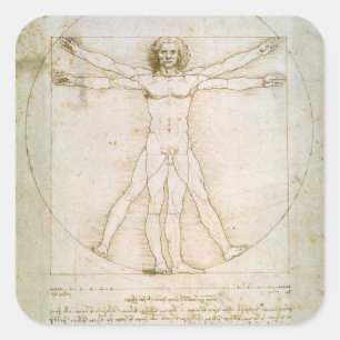 Adesivo Quadrado As proporções da figura humana