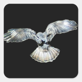 Adesivo Quadrado Asas enroladas e aterrissagem das caudas