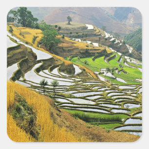 Adesivo Quadrado Ásia, China, Yunnan, Prefeitura de Yuxi; Yuanjiang