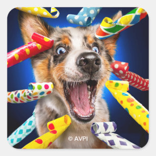 Adesivo Quadrado Assopradores de Festa de Cachorro Feliz
