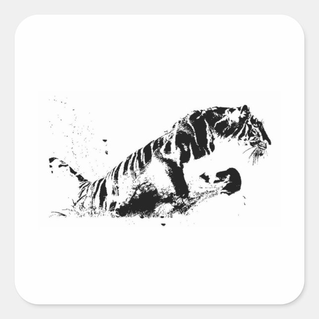 Adesivo Quadrado Atacando Tigre (Frente)