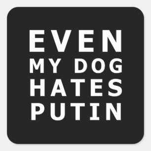 Adesivo Quadrado até o meu cão odeia o putin
