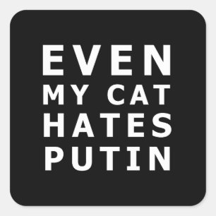 Adesivo Quadrado Até o meu gato odeia o putin