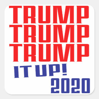 Adesivo Quadrado Atira-o! Trump 2020 - Stickers (Conjunto de 20)