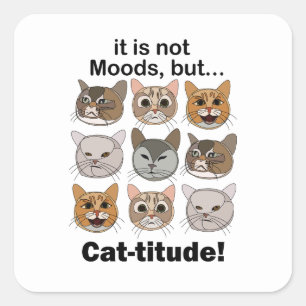 Adesivo Quadrado Atitude de Gato Humores de Gato Amantes de Gatos