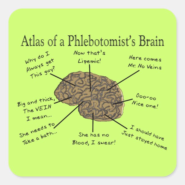 Adesivo Quadrado Atlas do Cérebro de um Flebotomista (Frente)