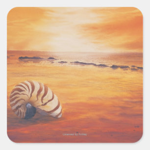 Adesivo Quadrado Atraso