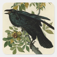 Audubon Raven Bird Classic Trabalho de arte