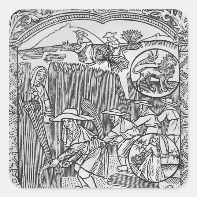 Adesivo Quadrado August, colheita, Leo (Frente)