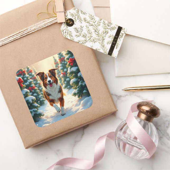 Adesivo Quadrado Australian Shepherd Christmas Tree Farm Painting (Presentear)