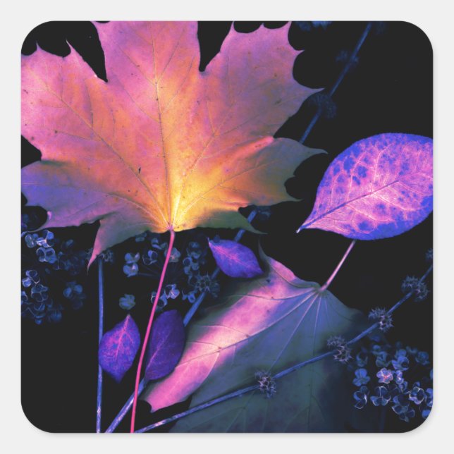 Adesivo Quadrado Autumn Leaves em Neon (Frente)