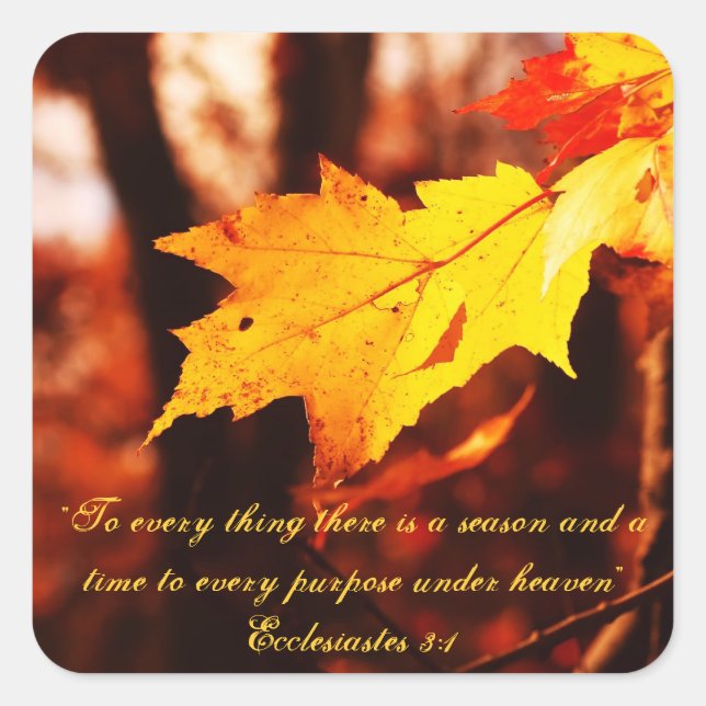 Adesivo Quadrado Autumn Leaves nos Poconos Stickers (Frente)