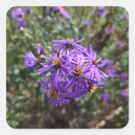 Adesivo Quadrado Autumn's Purple Glow