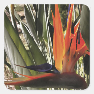 Adesivo Quadrado Ave do Paraíso Strelitzia Reginae - Painti acrílic