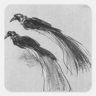 Adesivo Quadrado Aves