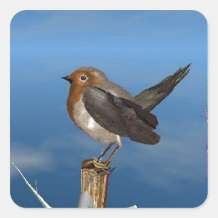 ADESIVO QUADRADO AVES HÍPICAS/MAMA VERMELHA DE ROBINA