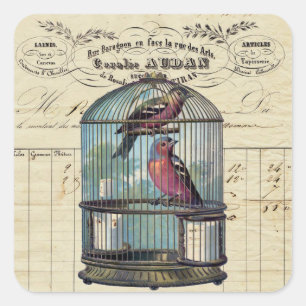 Adesivo Quadrado Aves Vitorianas Vitorianas Vitorianas Vintage Amam