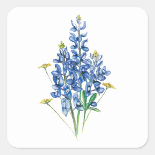 Adesivo Quadrado Azulinhas e Flores Silvestres