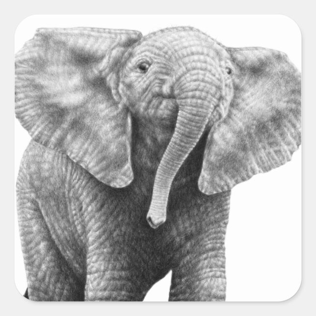 Adesivo Quadrado Baby African Elephant Sticker (Frente)