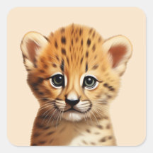 Baby Cheetah Portrait