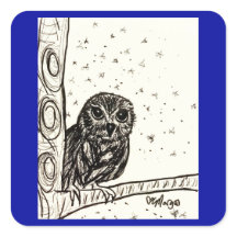 Baby Owl Basking na Noite