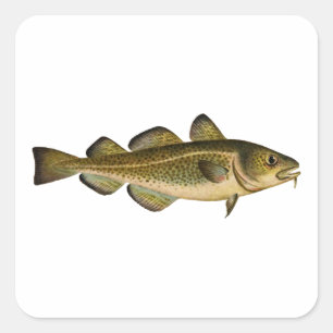 Adesivo Quadrado Bacalhau atlântico