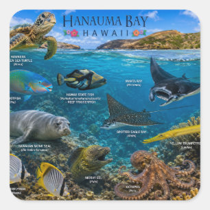 Adesivo Quadrado Baía de Hanauma no Havaí
