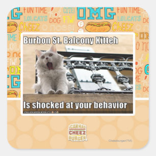 Adesivo Quadrado Balcão Kitteh do St. de Burbon