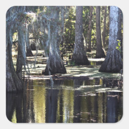 Adesivo Quadrado Bald Cypress Trees