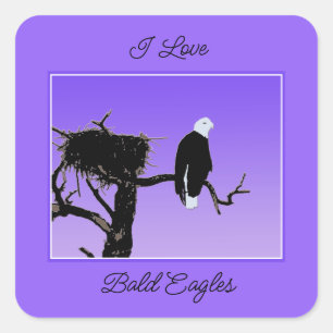 Adesivo Quadrado Bald Eagle em Sunset - Arte original sobre a vida 