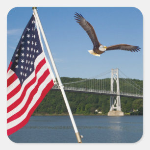 Adesivo Quadrado Bald Eagle (Orgulho Americano)
