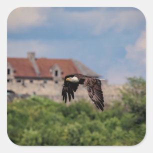 Adesivo Quadrado Bald Eagle passando Fort Ticonhava