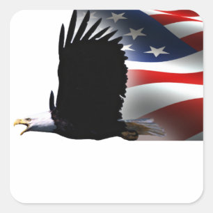 Adesivo Quadrado Bald Eagle voa no Memorial da Bandeira