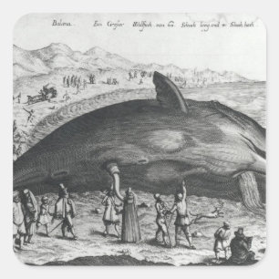 Adesivo Quadrado baleia morto