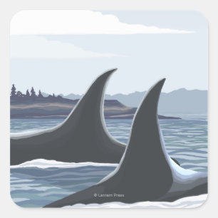 Adesivo Quadrado Baleias #1 da orca - Ketchikan, Alaska